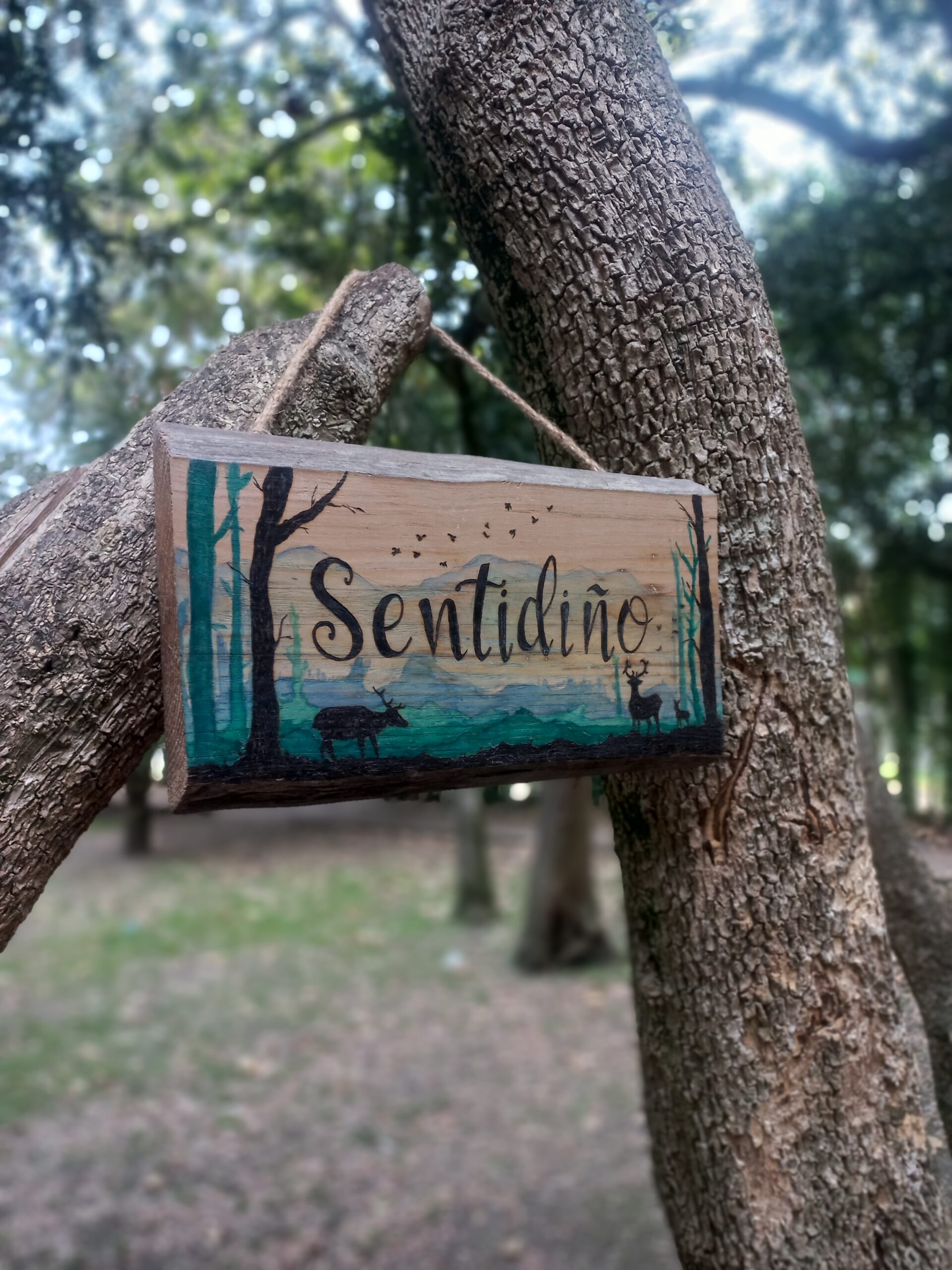 Cartel Sentidiño - Imagen 3