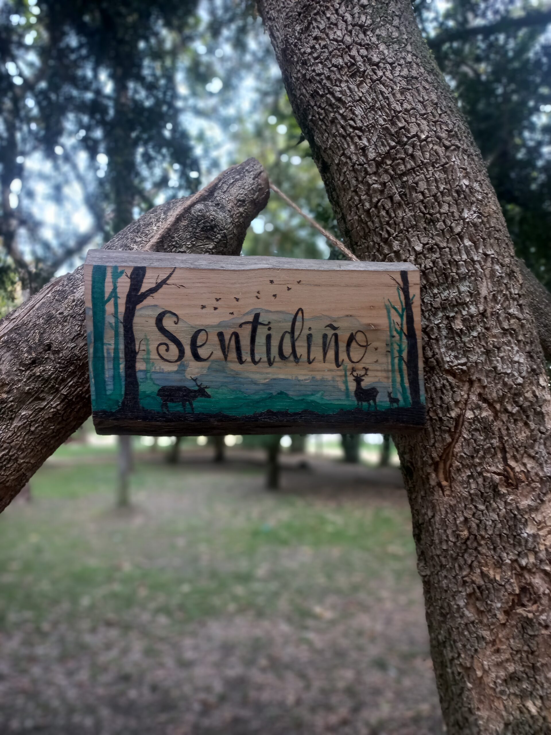 Cartel Sentidiño - Imagen 2