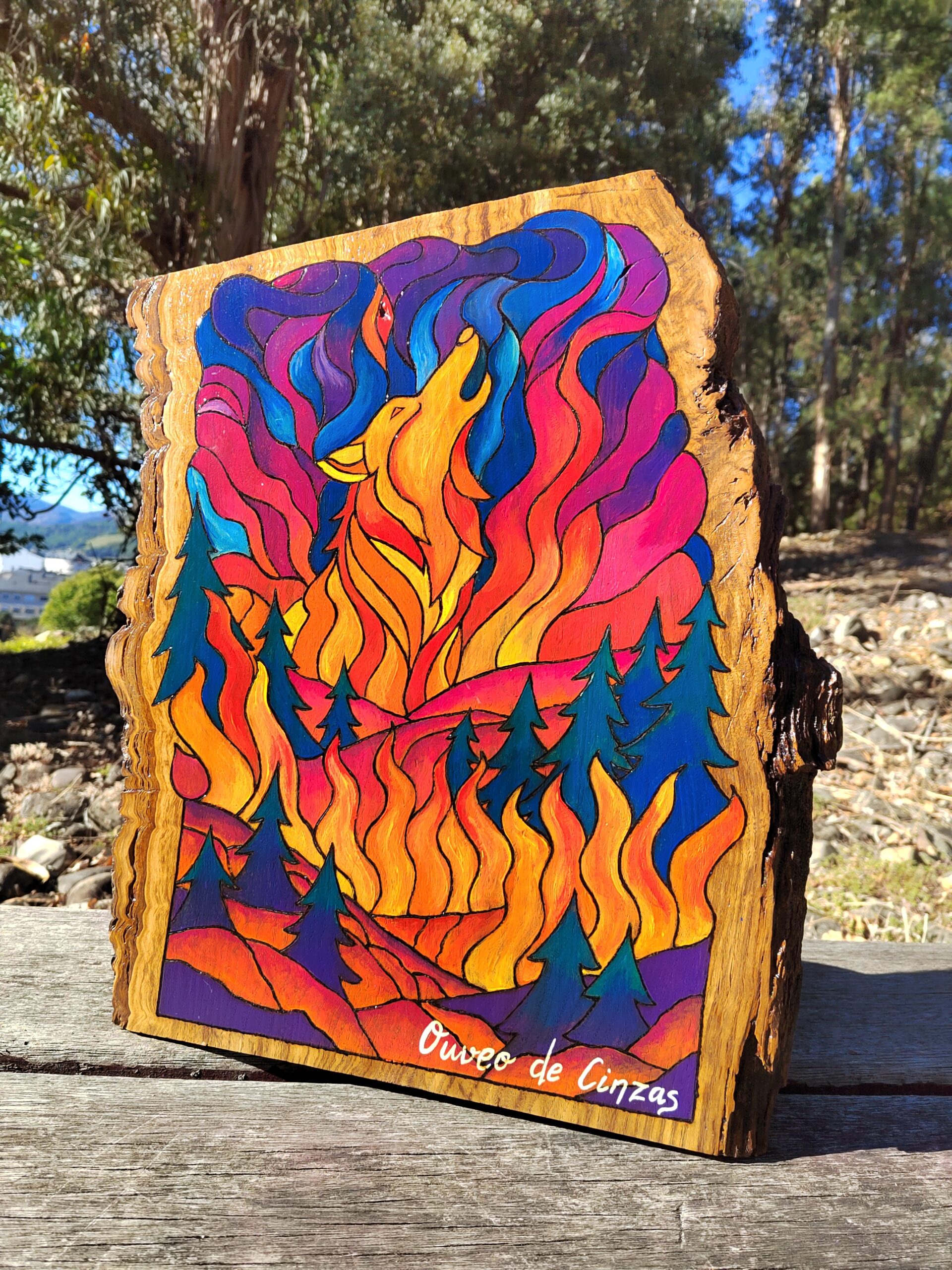 Ouveo de Cinzas - Imagen 6