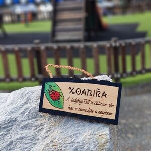 Cartel Xoaniña pirogravado en madeira de freixo, con ilustración pintada a man dunha xoaniña vermella sobre unha folla verde, colgado con corda de cánamo