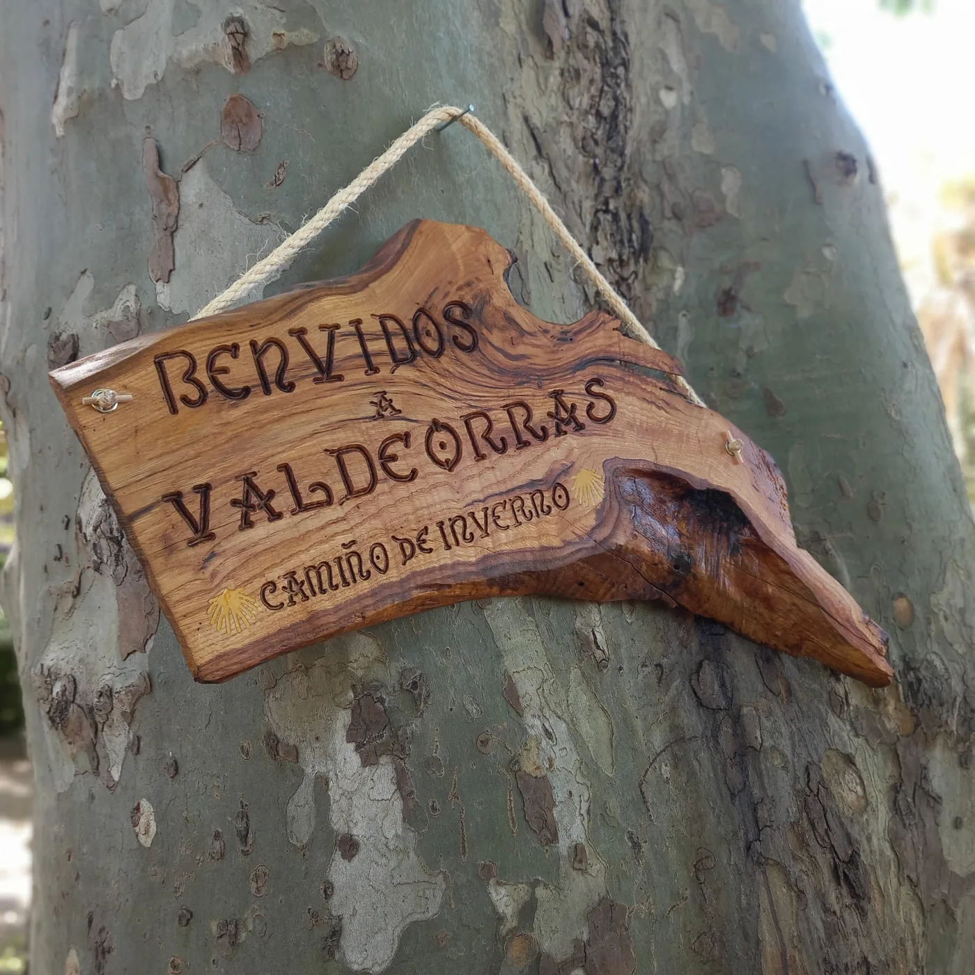 Cartel de madeira rústica pirogravado Benvidos a Valdeorras, Camiño de Inverno, colgado dunha árbore